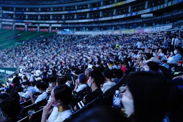 baseball, stadium, fan, Damaury Mikula Laced